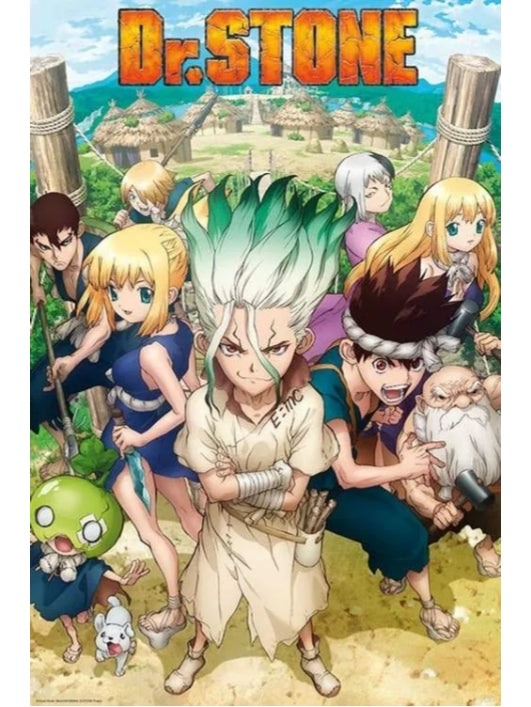 Dr. Stone - Group - 91,5x61 Poster